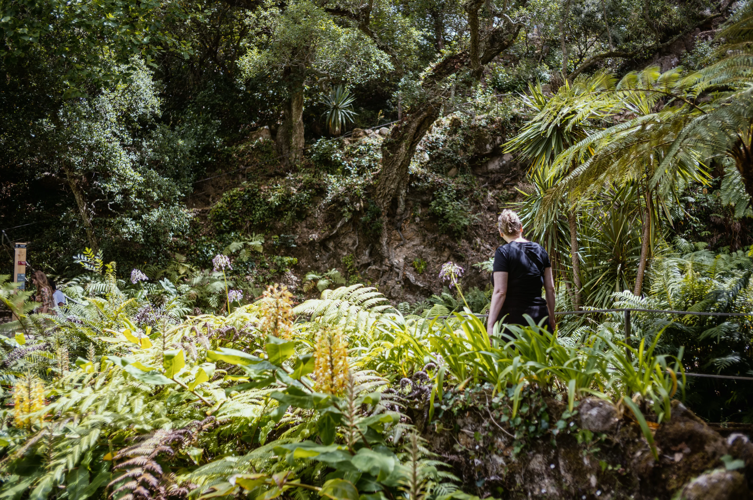Person standing in a lush, green garden with tall trees and various plants.