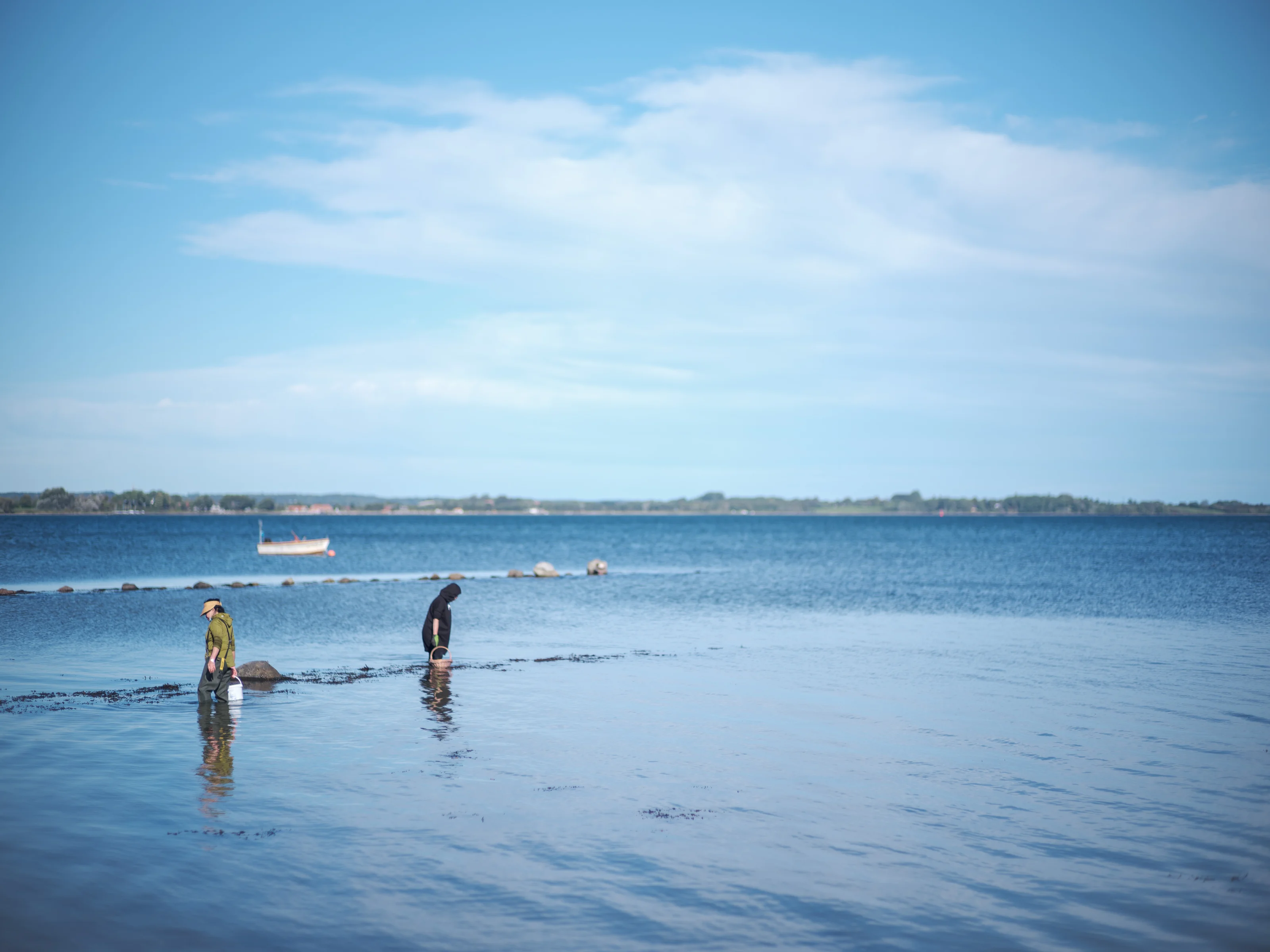 Two people wading in shallow water near the shoreline on a clear day.
