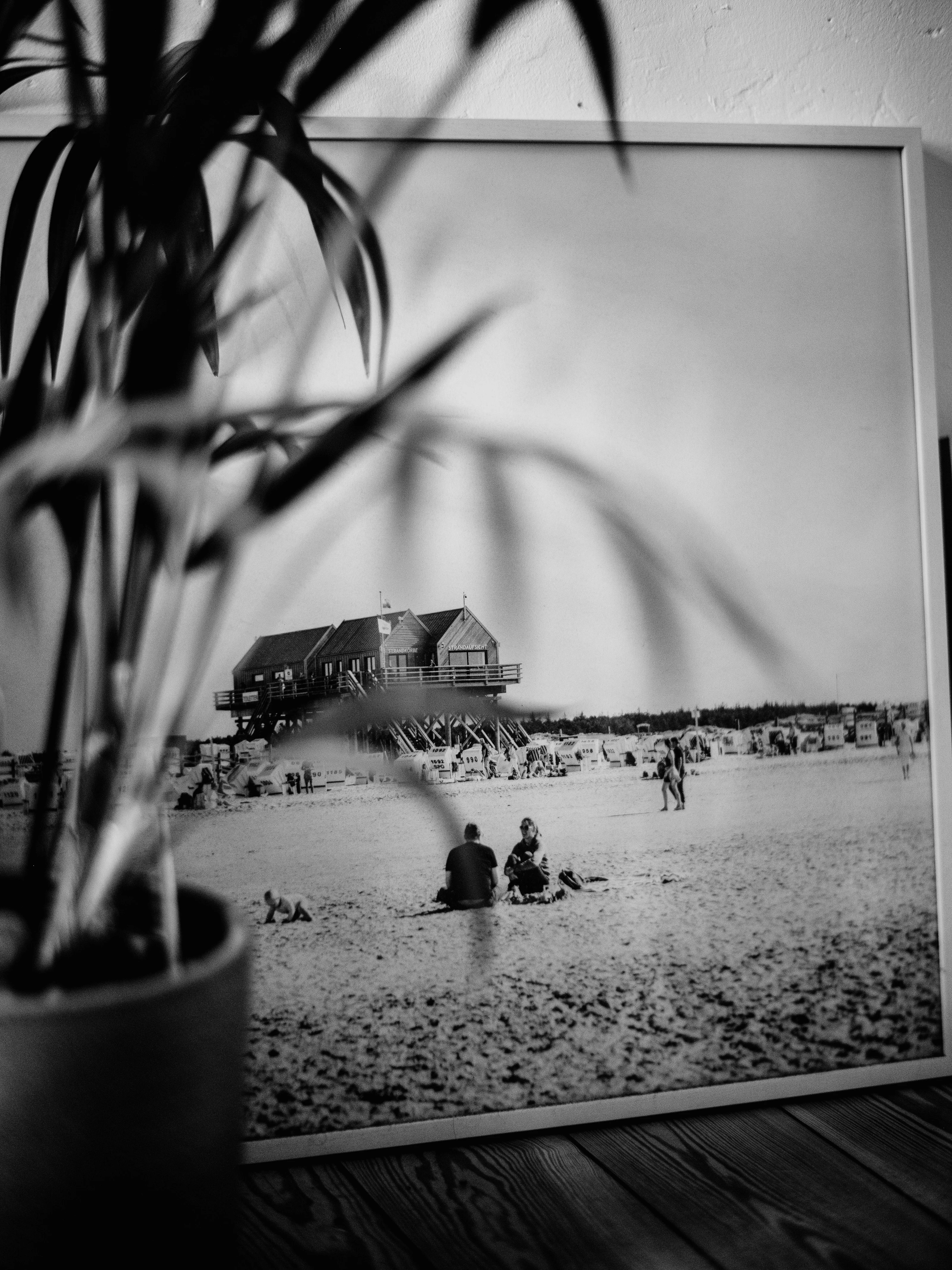 Framed black and white beach photograph partially obscured by blurred plant leaves.