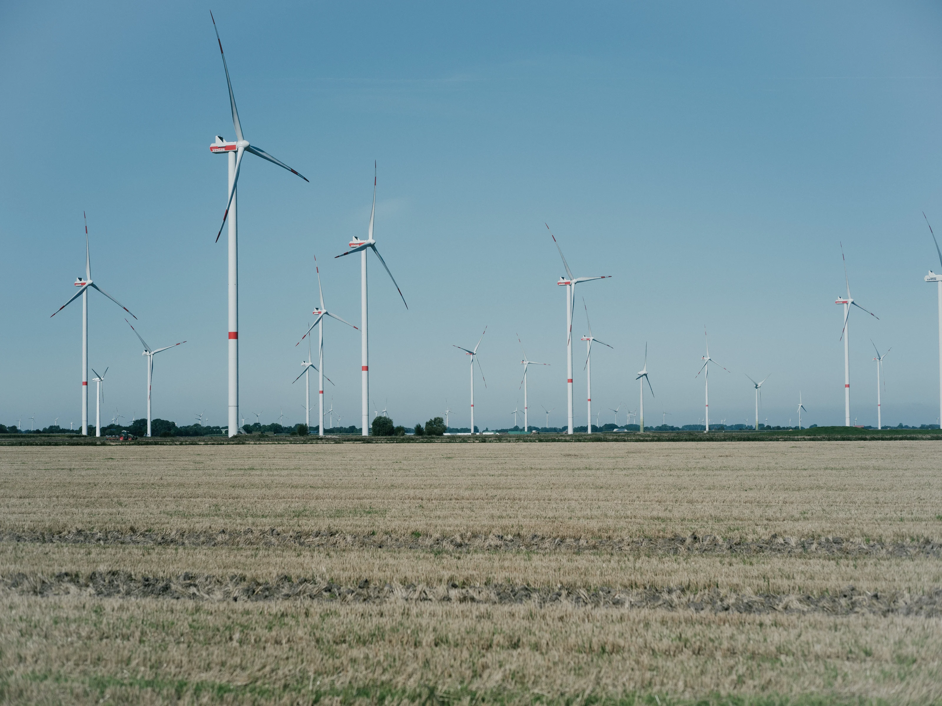A field of wind turbines under a clear blue sky.