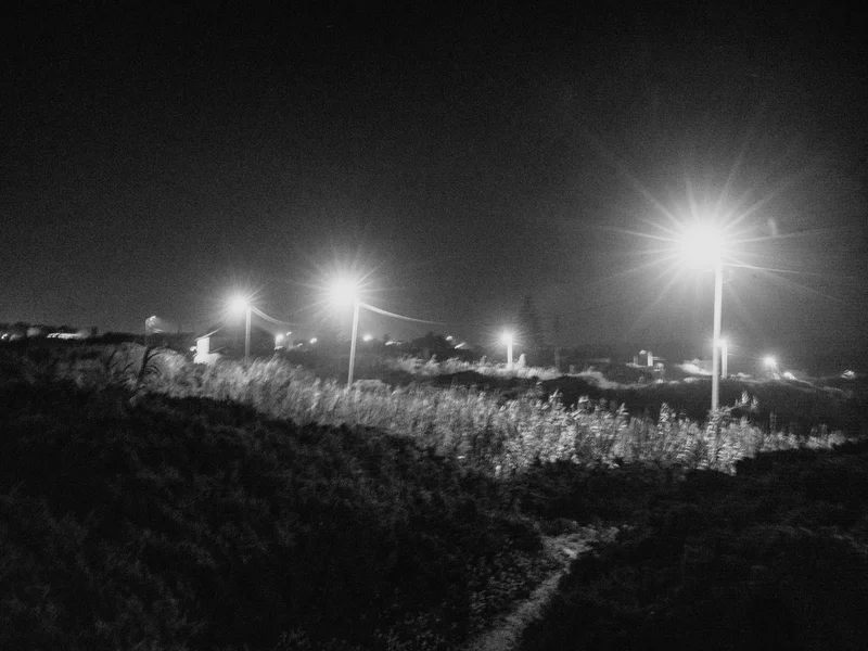 Night scene with bright streetlights illuminating a rural landscape.