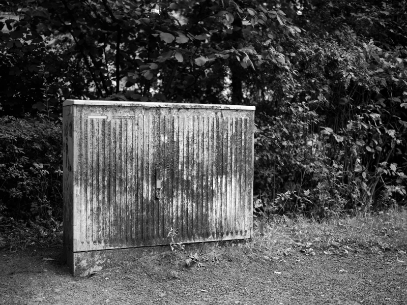 A weathered utility box stands in front of a backdrop of dense foliage.