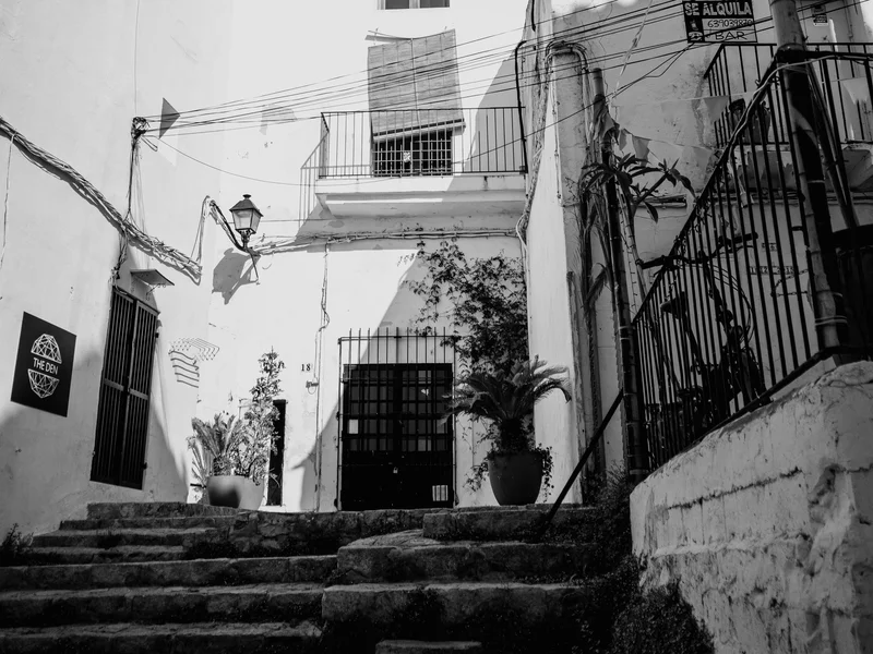 A black and white photo of a narrow alley with stone steps leading to a building with balconies and plants.