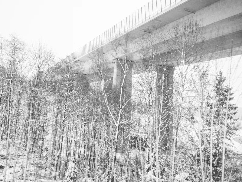 A snowy landscape with bare trees in the foreground and an elevated highway bridge in the background.