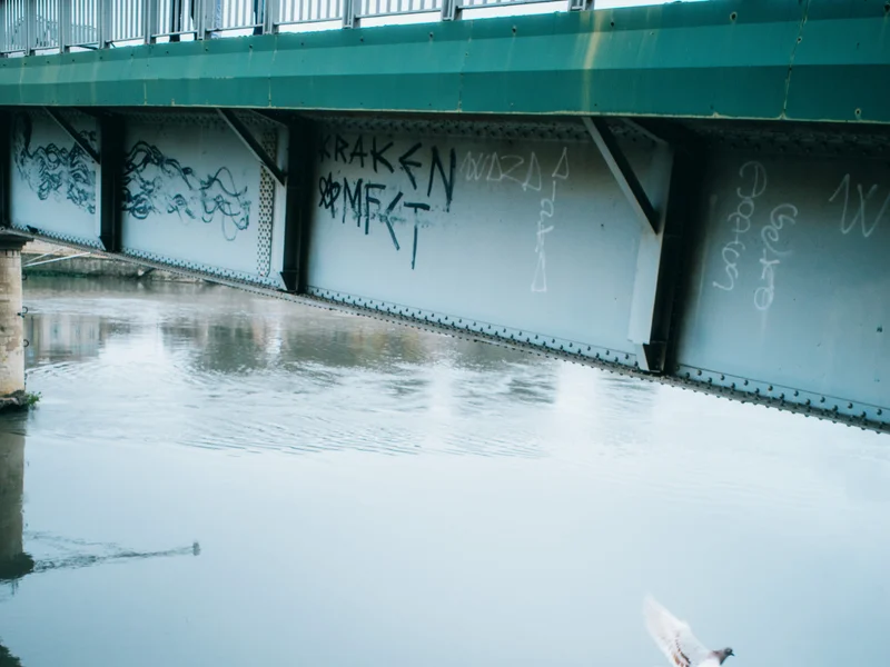 Three people standing on a graffiti-covered bridge over a river, watching a pigeon fly above the water.