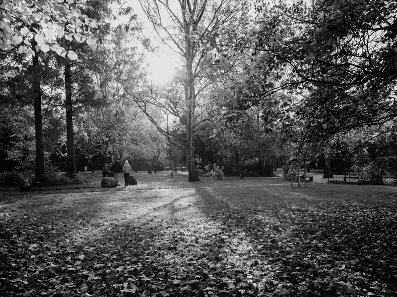 Black and white photo of a park with trees and people sitting on a bench, dappled sunlight filtering through leaves.