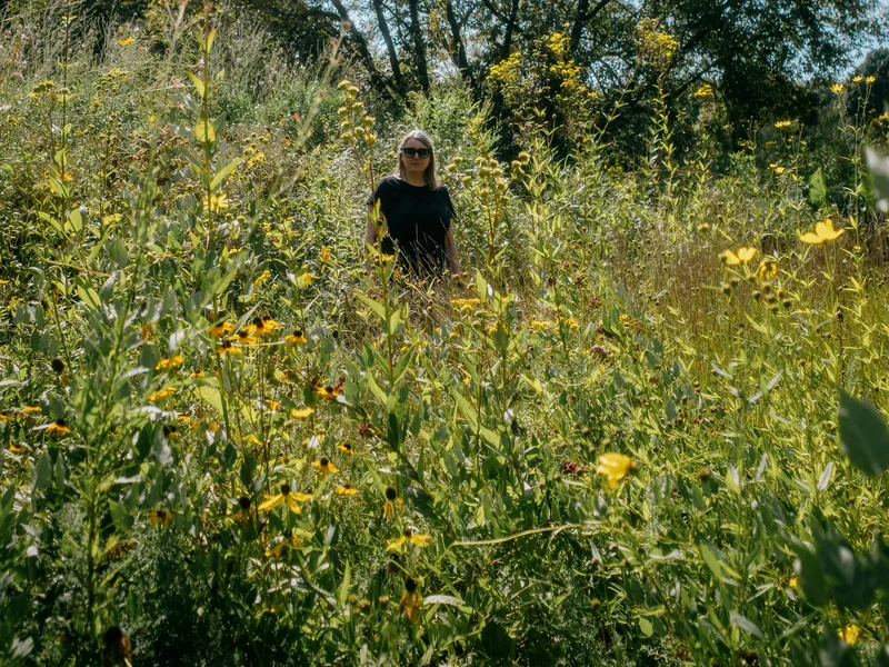 Person standing in a field of tall wildflowers under a blue sky.