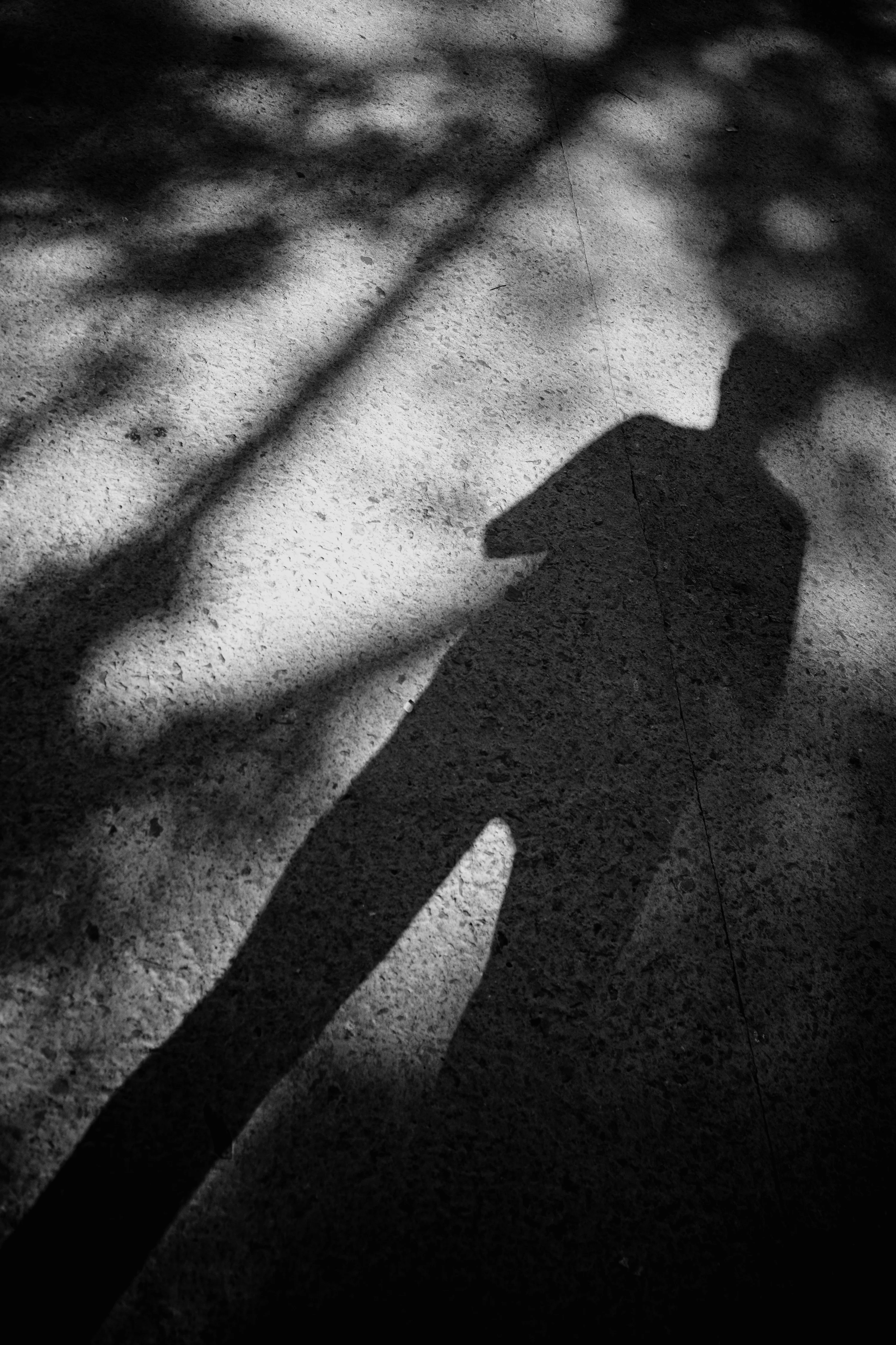 Shadow of a person on a textured ground with dappled light.