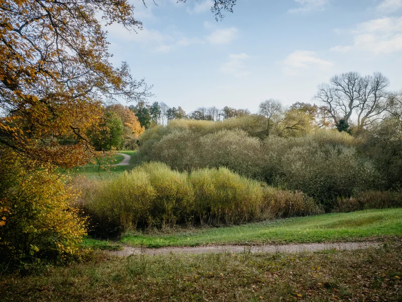 A scenic view of a winding path through a lush, tree-filled park under a clear blue sky.