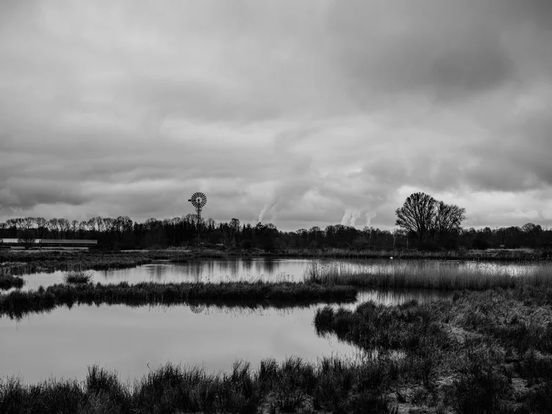Black and white landscape with a windmill near trees and a reflective body of water under a cloudy sky.