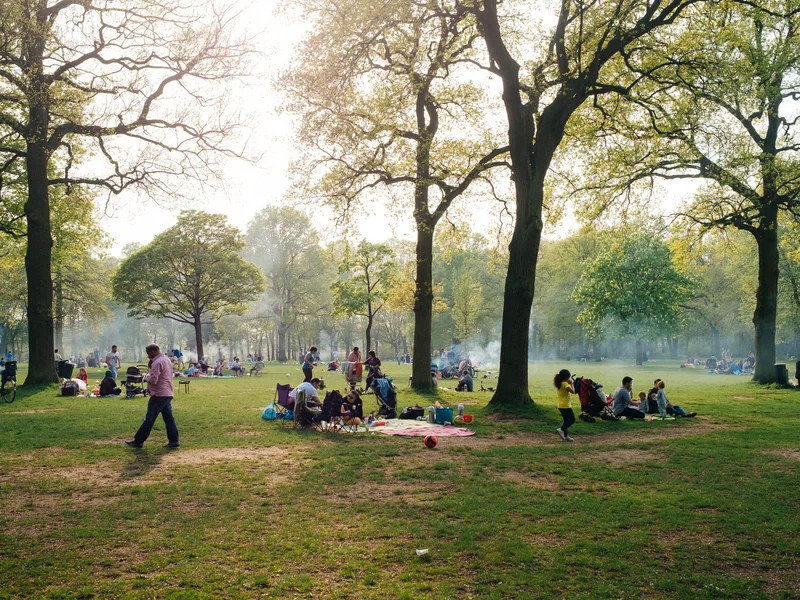 People having a picnic in a park under tall trees on a sunny day.