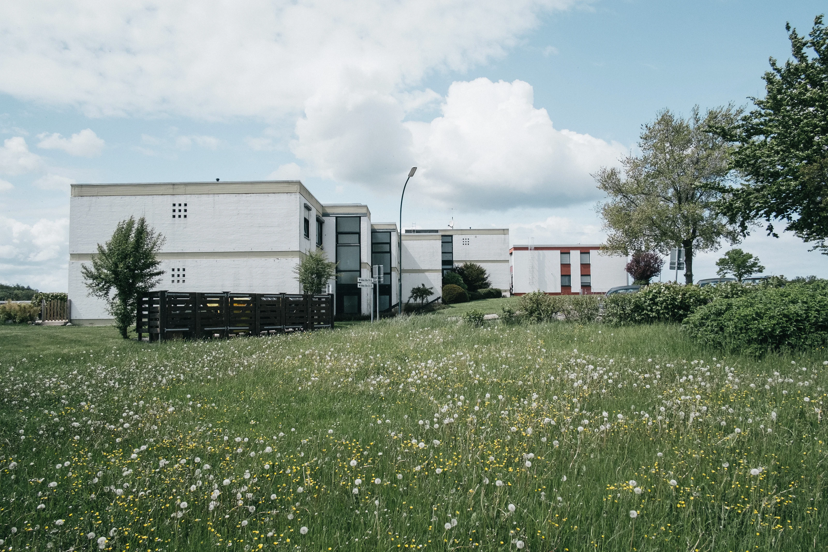 Modern white building surrounded by grassy field with scattered dandelions under a partly cloudy sky.