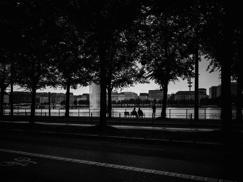 Silhouettes of people sitting and standing by a riverside, framed by trees with buildings in the background.
