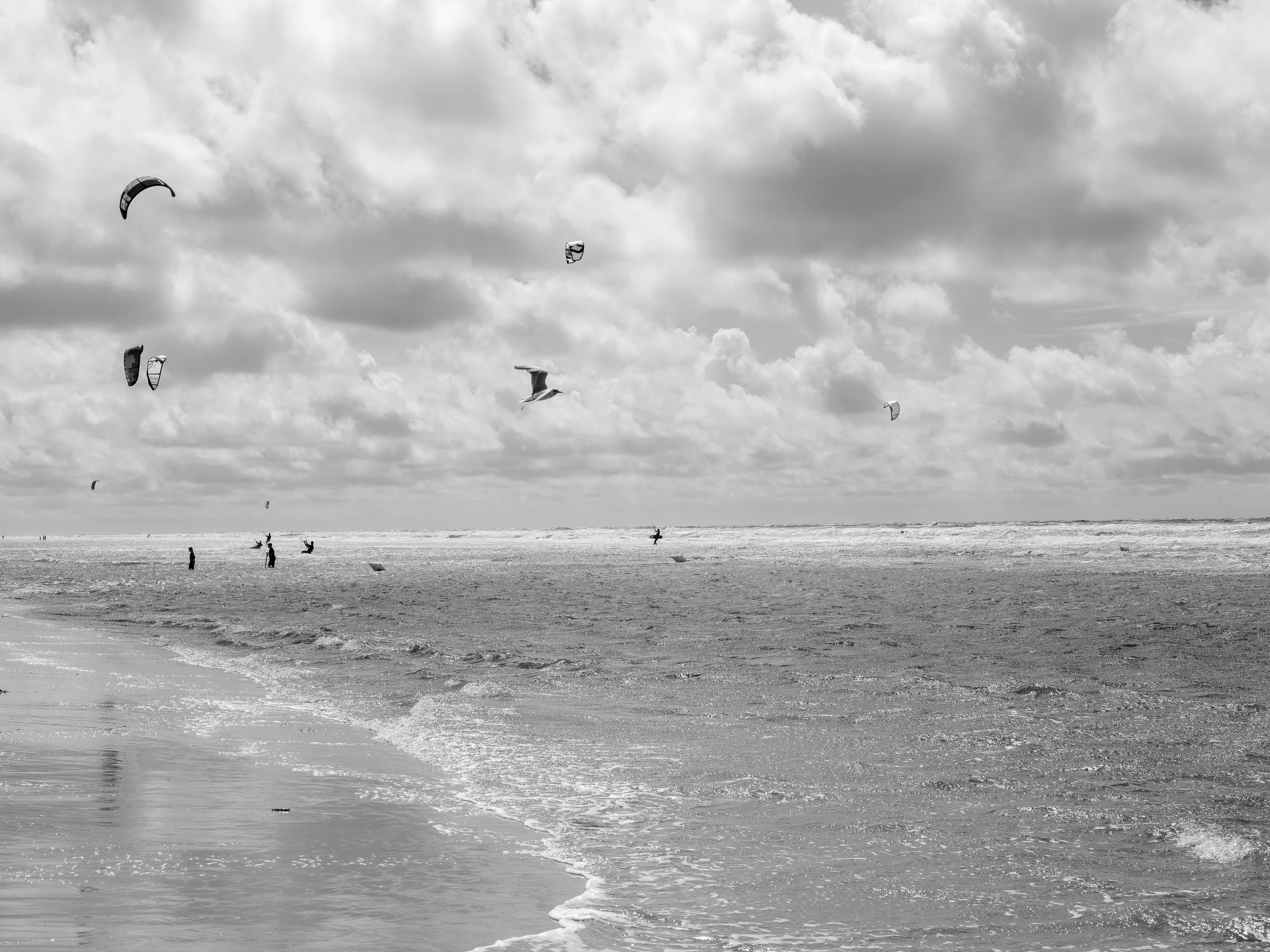 Black and white scene of a beach with several people kite surfing under a cloudy sky.